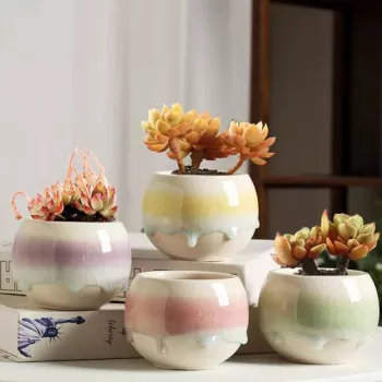 Ice-Crack Gradient Ceramic Planter: Style + Care Tips