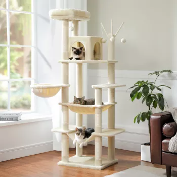 Large Cat Tree: Big Hammock & Scratching Posts Guide